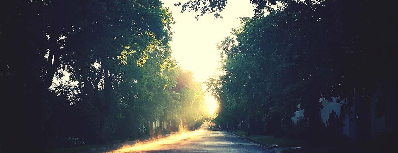 Описание слайда 3